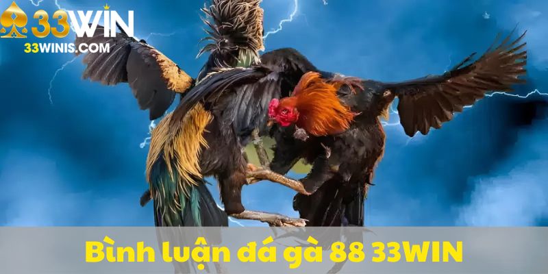 Bình luận đá gà 88 33win sôi động