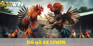 đá gà 88 33Win