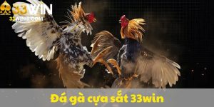đá gà cựa sắt 33Win
