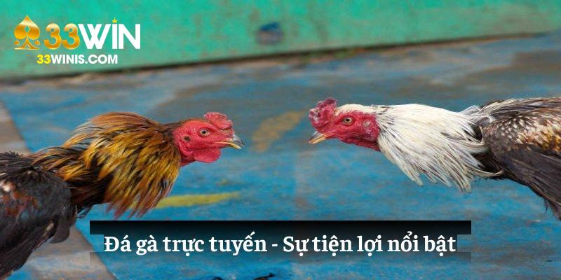 Đá gà trực tuyến: Sự tiện lợi nổi bật