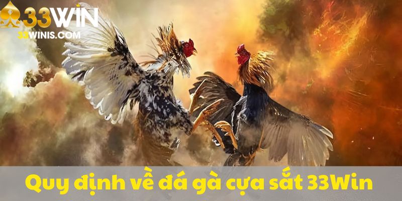 Quy tắc trong thi đấu cựa sắt